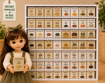 64 Miniature Pulse & Grain Box Printables | Dollhouse Grocery Food Packaging (Digital Download)
