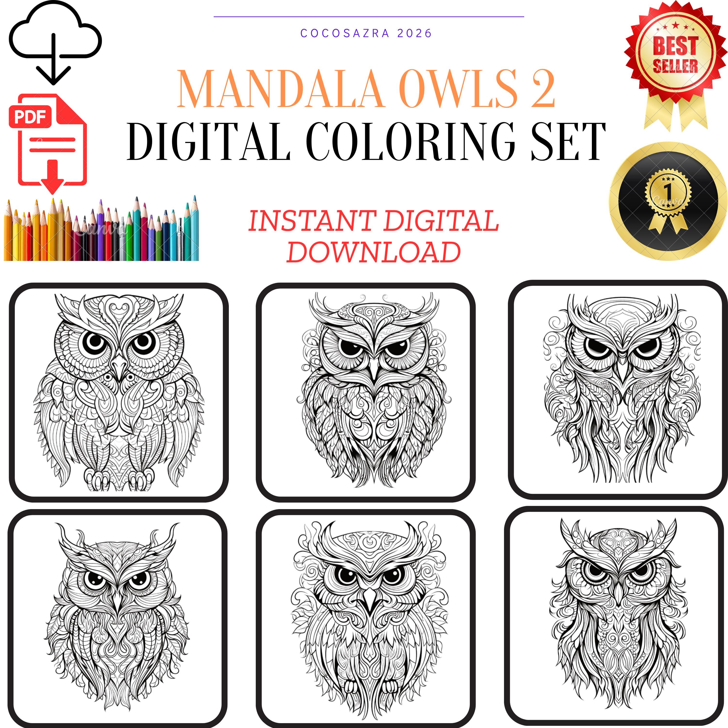 Mandala Owls Coloring Pages, Whimsical Night Bird Art, Black Background (Digital Download)