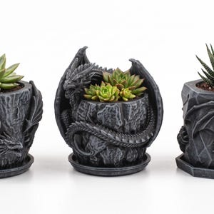 Ensemble de 3 pots de fleurs Dragon, pots à succulentes fantaisie avec soucoupe de drainage, décoration de bureau gothique, pots de fleurs imprimés en 3D