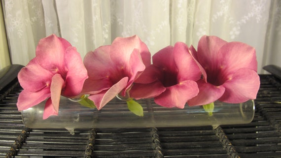Vintage Clear Glass Horizontal Flower Vase Four In One Etsy