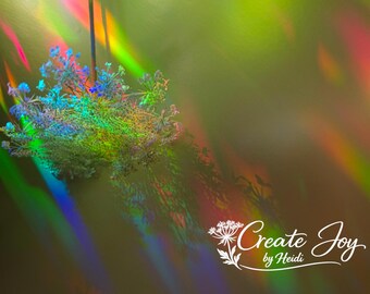 Rainbow Prism Flower Photography, Queen Anne's Lace Digital Download, Macro Nature Print, Light Refraction Wall Art, Boho Printable