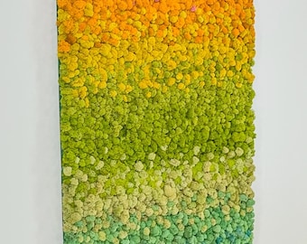 Preserved Reindeer Moss - Rainbow Ombre