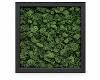 Vintage Verde - Preserved Moss Wall Art