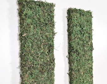 Preserved Moss Strips - Meadow Strips