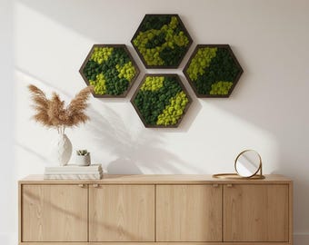 Traditional Preserved Moss Hexagons