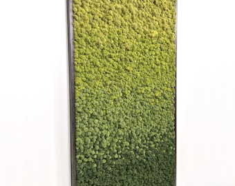 Forest Blend Ombre - Preserver Moss Art
