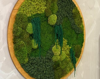 Enchanted Moss Circle - Preserved Moss Wall Art