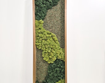 Grand Hexagons - Preserved Moss Wall Art