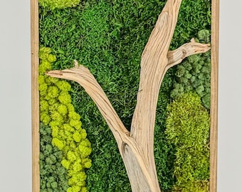 Manzanita Ridge - Preserved Moss Wall Art