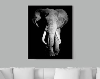 Elephant picture on Paper or Canvas, Ready to hang canvas gallery wrap or rolled print. 2 colors and 3 sizes to choose, FREE SHIPPING USA!
