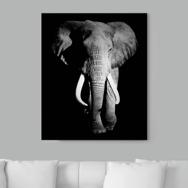 Elephant picture on Paper or Canvas, Ready to hang canvas gallery wrap or rolled print. 2 colors and 3 sizes to choose, FREE SHIPPING USA!