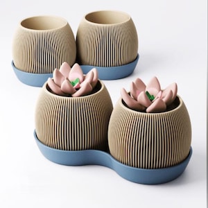 May include: Four round, ribbed beige planters with blue saucers. Two planters are empty, and two contain artificial pink succulent plants with green centres. The planters feature a vertical line texture and sit on matching blue bases.