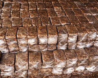 FREE SHIPPING | Natural African Black Soap Bar | Organic Raw Savon Noir, Fair Trade, Face Body Hair