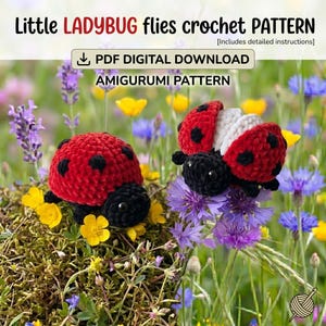 Wendbare Marienkäfer-Häkelanleitung (PDF) | Amigurumi-Anleitung für fliegende Insekten | Niedlicher Mini-Marienkäfer-Plüsch | Häkelanleitung zum sofortigen Download