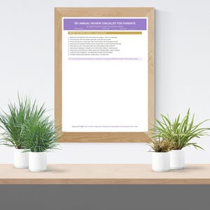 IEP Annual Review Checklist - Etsy