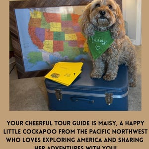 May include: A light brown Cockapoo dog wearing a green bandana with the name Maisy and a heart embroidered in white. The dog stands on a blue suitcase next to a colorful map of the United States and a stack of yellow envelopes.