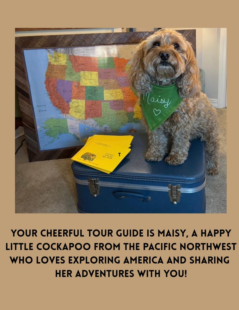 May include: A light brown Cockapoo dog wearing a green bandana with the name Maisy and a heart embroidered in white. The dog stands on a blue suitcase next to a colorful map of the United States and a stack of yellow envelopes.