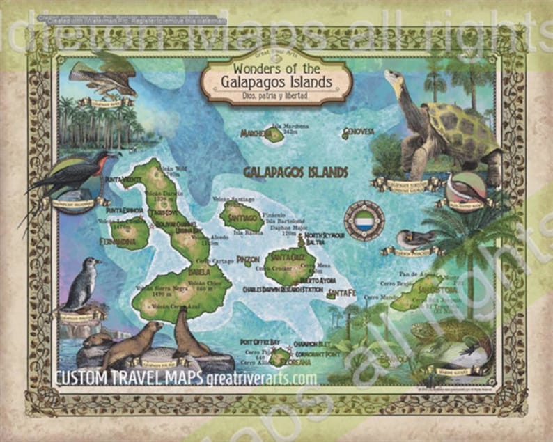 Galapagos map Galápagos Islands poster, World Travel Map, World Travel Decor, World Traveler, Traveler gift, Cartography gift tropical art image 1