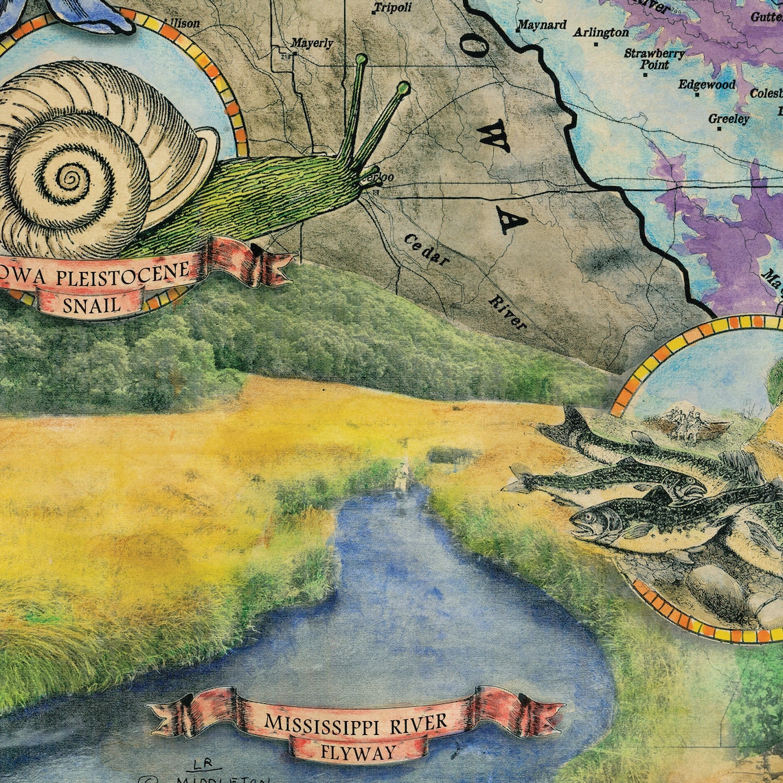 Driftless Region, Minneapolis Map, Mississippi River, Minnesota Map ...