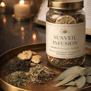 Sunveil Infusion Simmer Pot