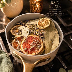 May include: A light gray pot with a gold handle filled with water, dried citrus slices, and herbs. The text "Coastal Rain Elixir" is visible, along with the ingredients: grapefruit, lime, verbena leaf, eucalyptus, bay leaf, and lavender.