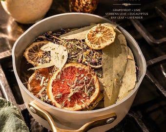 Küsten Regen Elixier Simmer Topf