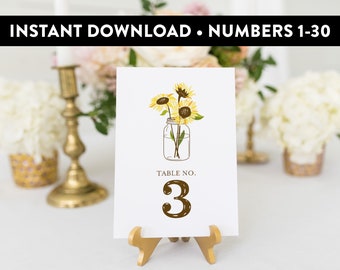 Table Numbers 1-30 (Mason) - Instant Download, DIY, Printable, Print Yourself, Digital Files