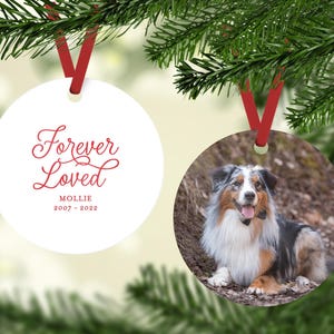 Double-sided Pet Memorial Ornament with Photo, Forever Loved, Pet Loss, Dog Memorial, Cat Memorial, In Memory of, In Loving Memory, Grief