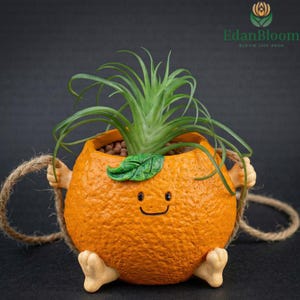 Maceta Columpio de Elfo Naranja: Maceta con forma de fruta sonriente para suculentas, decoración de interiores