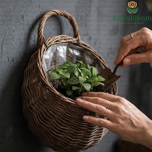 May include: A woven brown wicker hanging basket with a handle, holding a small green plant with white veins. The basket is lined with clear plastic. A small trowel is used to tend the plant. The basket is hanging on a dark gray wall.