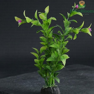 Puede incluir: Una taza de cerámica blanca con un asa negra y el texto "But First, Coffee" en negrita negra. La taza se encuentra sobre un fondo borroso, sugiriendo un ambiente acogedor.