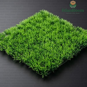 May include: A square of artificial grass with vibrant green blades. The synthetic turf has a dense, realistic appearance, perfect for landscaping or decorative purposes. The image is well-lit, showcasing the texture and color of the grass.