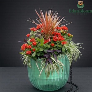 Smile Face Swing Chair Planter Resin Wall Hanging Flower Pot Creative Novelty Succulent Planter Unique Home Decor Indoor Plant Gift