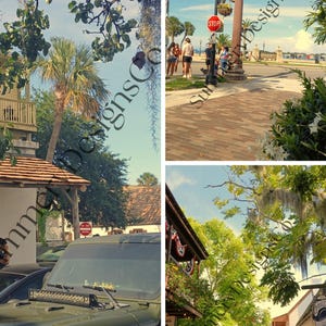 Carta da parati vintage a tema costiero (confezione da 3)