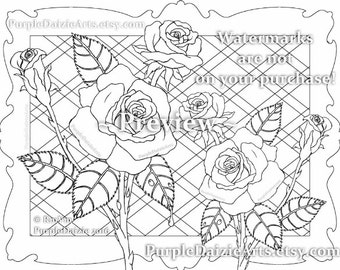 Printable Color Page Adult Roses Colour To Digital Art Sheet Rose Buds Bud Cluster Flowers Line Drawing JPEG File Instant Download