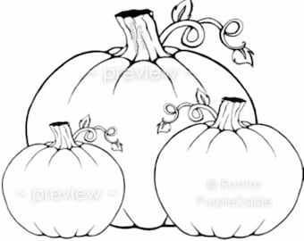 Calabazas para colorear (página imprimible) - Plantilla de dibujo zen - Dibujo lineal - Actividad infantil (JPEG) - Descarga instantánea