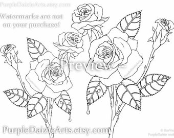 Adult Coloring Page Printable Página para colorear Rosen Digital Color Sheet Roses Rose Buds Bud Flowers Line Drawing Art - INSTANT DOWNLOAD