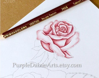Página para colorear para adultos Imprimible Página de corantes para impresionar Digital Color Sheet Roses Rose Buds Flower Line Dibujo Arte INSTANT DESCARGAR