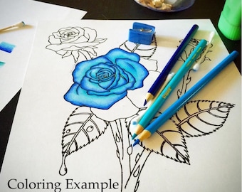 Página para colorear imprimible de rosas - Flores de rosas - Dibujo lineal a mano - Descarga digital - SIN AI