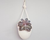 Spora w/ rope: porcelain hanging planter