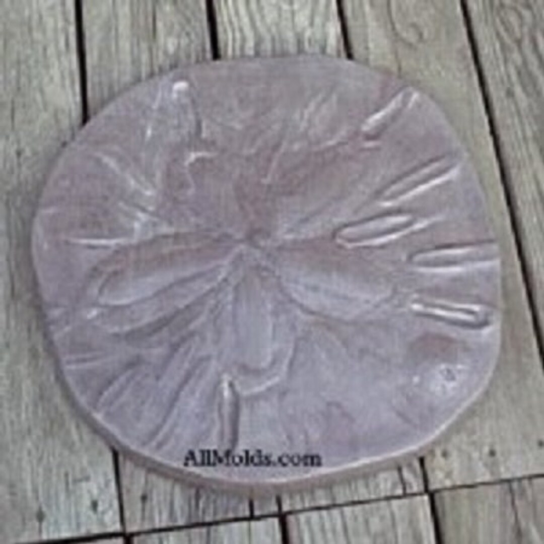 Sand Dollar Stepping Stone Mold - Etsy