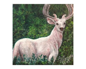 Oil Painting on Canvas | White Stag | Signed Original Fine Art | Museum Quality | Wall Décor