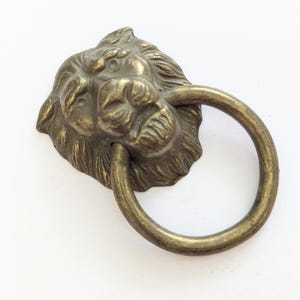 May include: A bronze-colored lion head door knocker with a circular handle. The lion's face is detailed with a mane and facial features. The ring handle is attached to the lion's mouth.