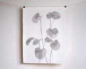SALE - Drawing From Nature - Minimalist Gray Ink Wash Drawing - 18 x 15 inches