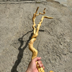 Könnte beinhalten: Ein hellbrauner, glatter, gedrehter Holzzweig mit einer natürlichen, gewundenen Form. Der Zweig weist an der Spitze mehrere kleinere, geschwungene Ausläufer auf und einen dicken, strukturierten Hauptstamm, der sich nach unten verjüngt.