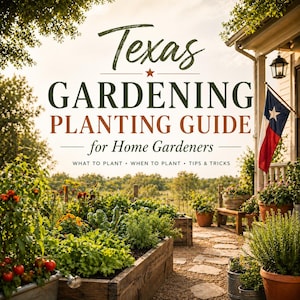 May include: A Texas Gardening Planting Guide for Home Gardeners. The image shows a lush garden with raised beds filled with various plants. The Texas flag hangs on a porch. The guide includes tips and tricks.