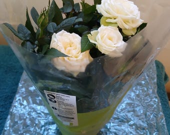 1 maceta para rosal blanco (23 x 10 x 10 cm) para jardín, interior o jardín.