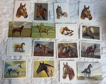 Vintage Horse Greeting Card Lot 16 Leanin Tree Cape Shore Equestrian Art Blank