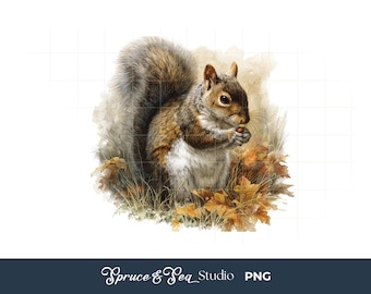 Retro Squirrel PNG: Vintage Style Woodland Animal Sublimation, Digital Download