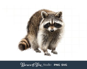 Raccoon PNG SVG: Wildlife Nature Clipart, Trash Panda 90s Retro Digital Download